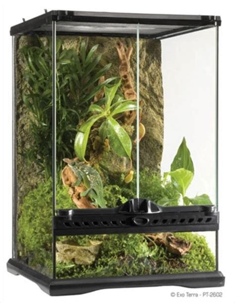 18x18 enclosure electrical|18x18x24 terrarium for sale.